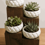 Porta Maceteros de Madera y Yeso – 4 Maceteros Modelo 1